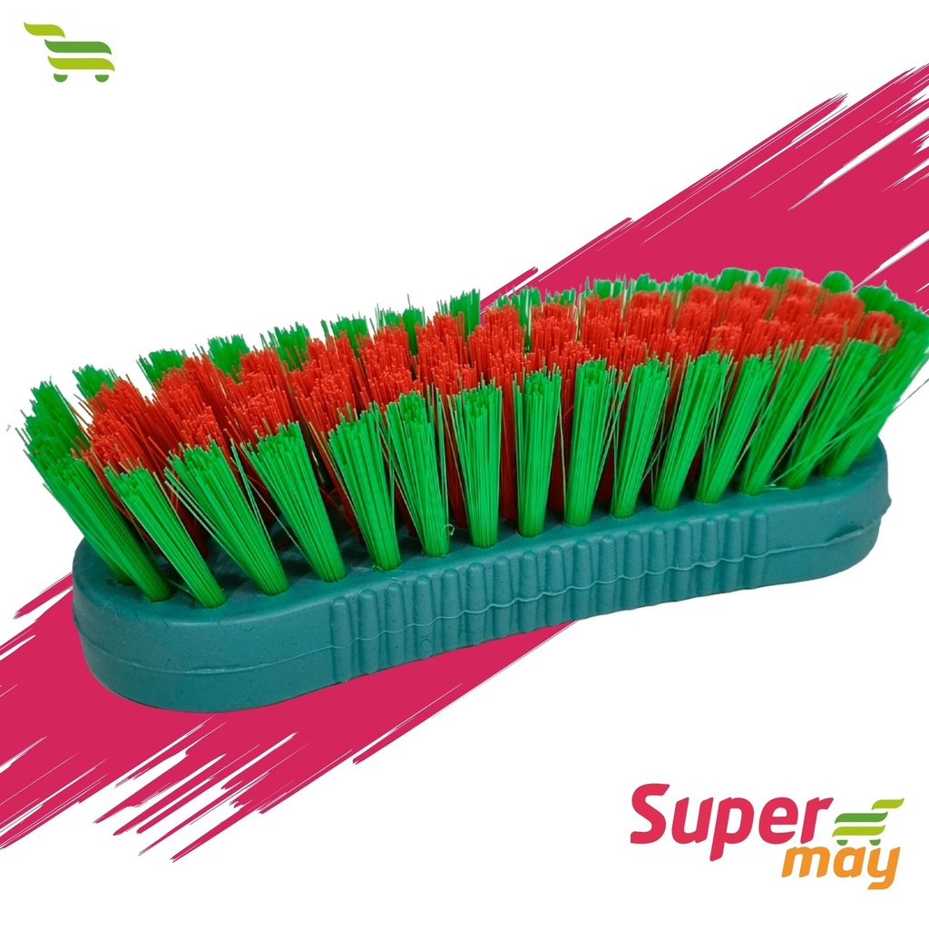 HORMIGA CEPILLO PRACTIQUITO OLIMPA