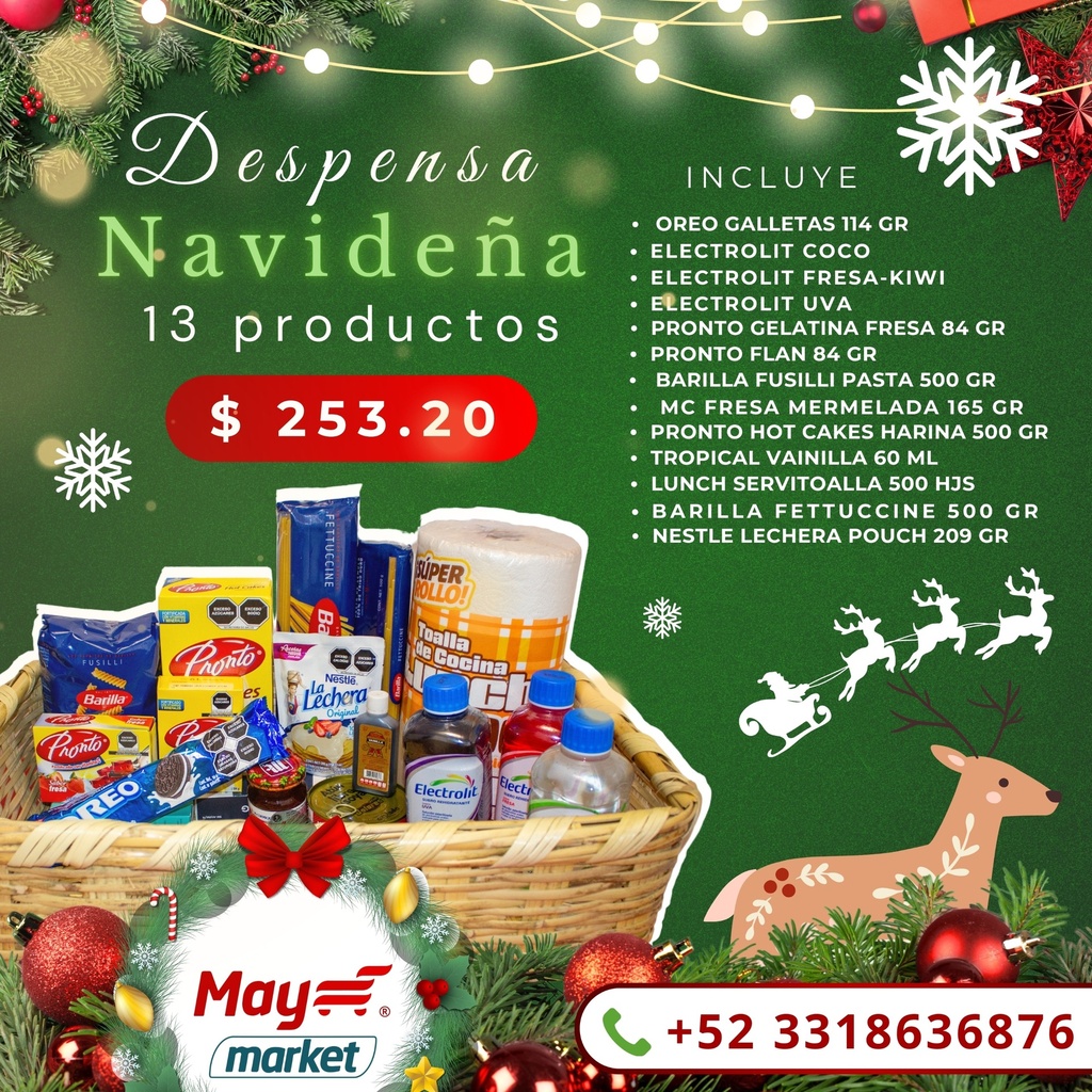 DESPENSA DE 13 PRODUCTOS 2024