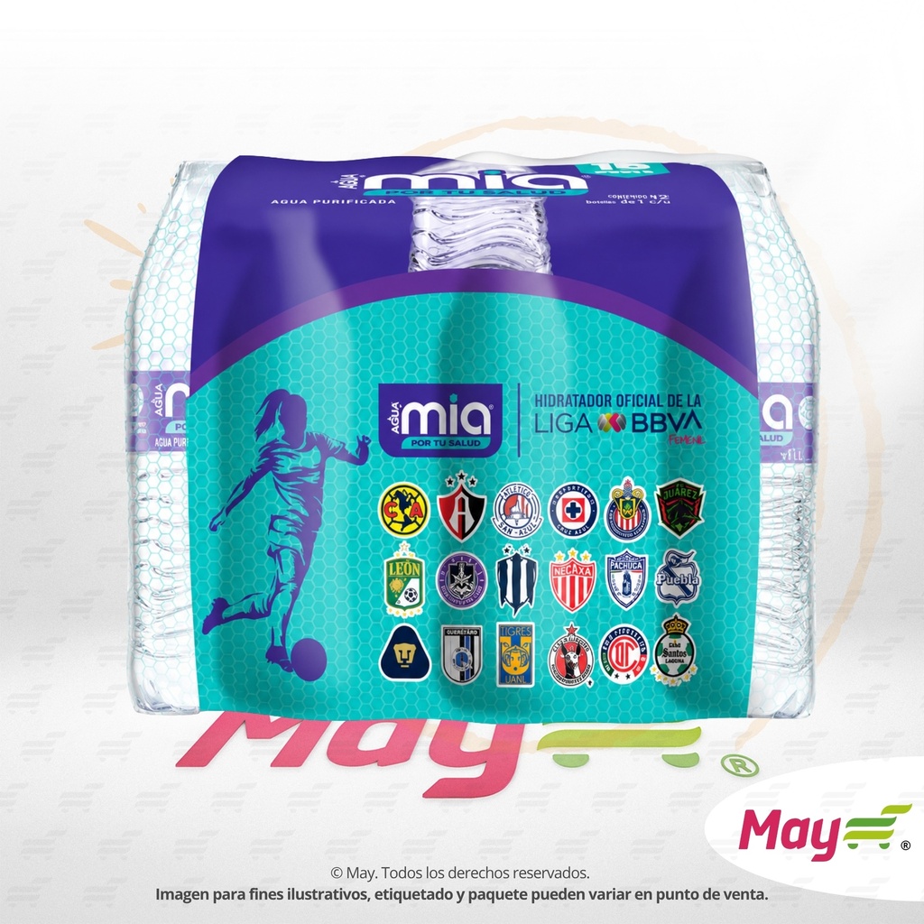 JUMEX AGUA MIA 500 ML 24 PACK