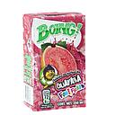 BOING GUAYABA JUGO 250 ML