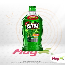 [1001778] CITREX LAVATRASTES 450 ML