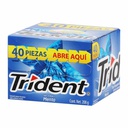 [1002071] TRIDENT MENTA CHICLE 40 UDS