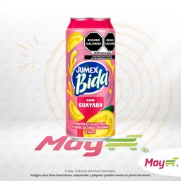 [205012] BIDA GUAYABA 460 ML