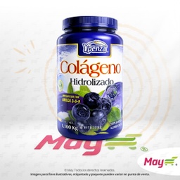 [608088] ACIDO HIALURONICO BLUEBERRY 1.1 KG